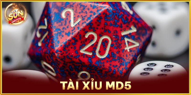 Tài Xỉu MD5